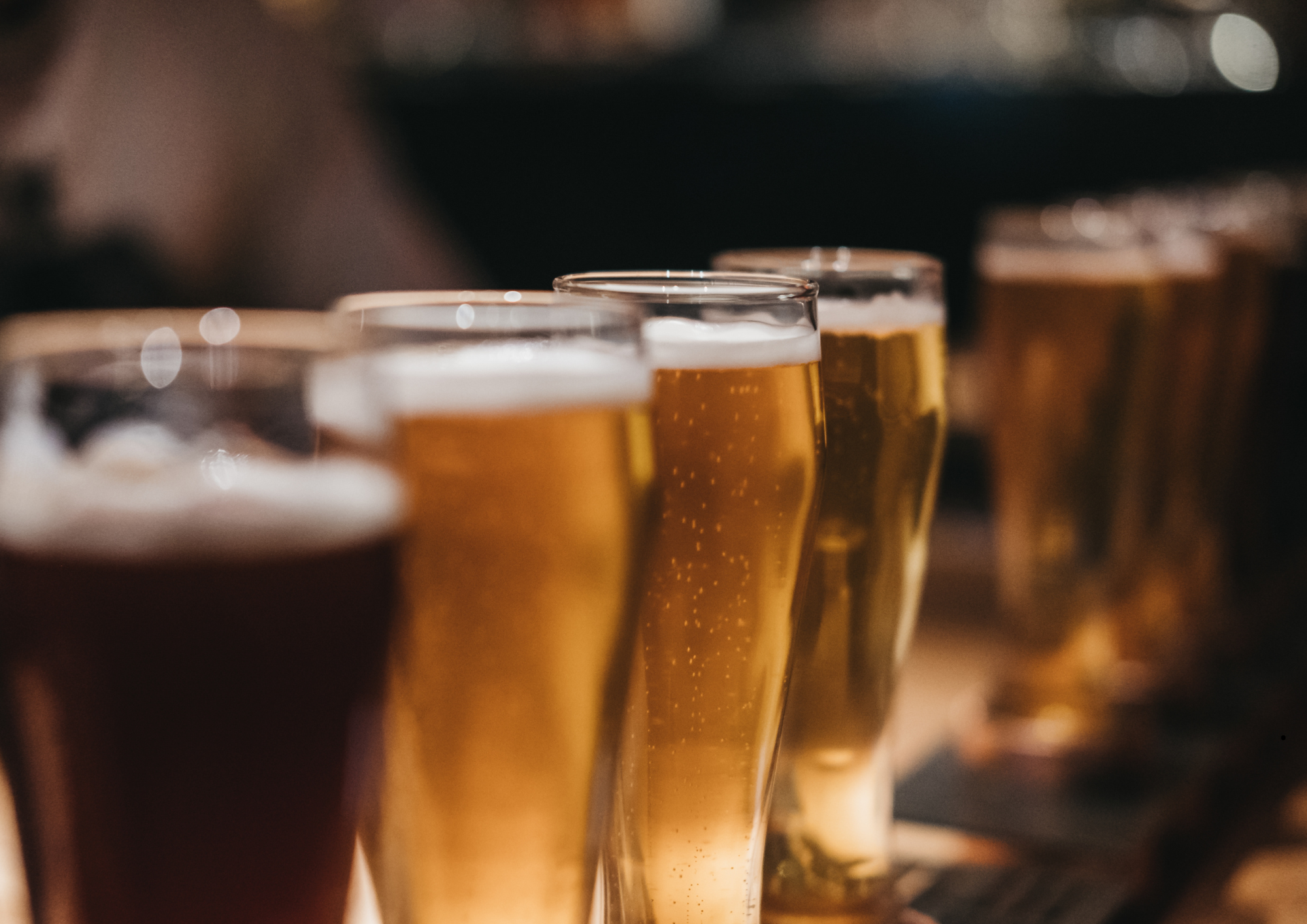 cevada-cervejaria-rusticana-fabrigacao-cerveja